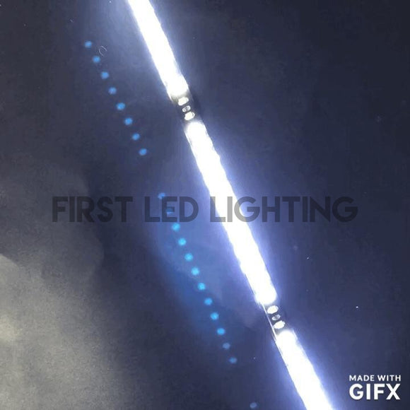 Pro First Led Light LED Modules – First LED Lighting