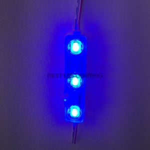 Plus 5630 LED Module 12V - 50-Pack - Blue-First LED Lighting Center