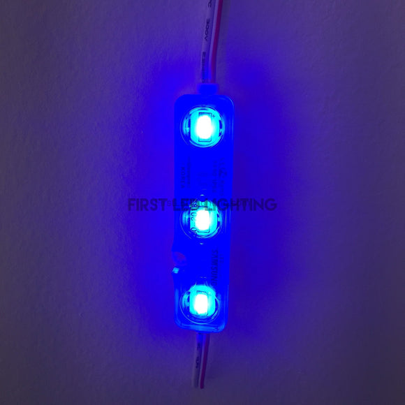 Plus 5630 LED Module 12V - 50-Pack - Blue-First LED Lighting Center