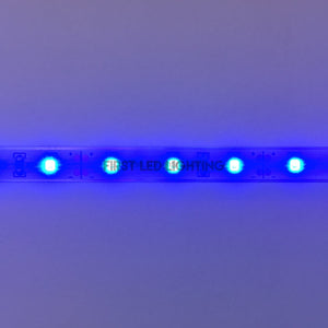 eco 2835 LED Strip - HD - Indoor Only IP20 - Blue-First LED Lighting Center