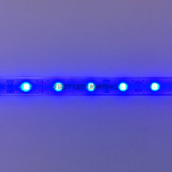eco 2835 LED Strip - HD - Indoor Only IP20 - Blue-First LED Lighting Center