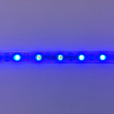 eco 2835 LED Strip - HD - Indoor Only IP20 - Blue-First LED Lighting Center