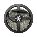 eco 5630 LED Strip - HD - Indoor Only IP20 - Daylight 6500K-First LED Lighting Center