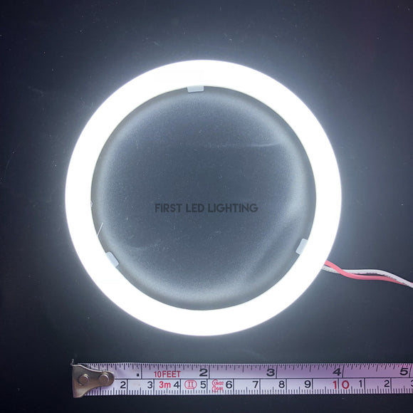 Neon LED Halo - WHITE – First LED Lighting